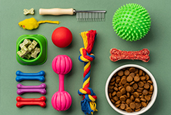 반려용품/생활용품